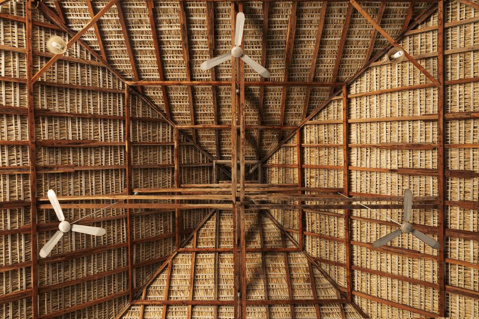 Architect Tadao Ando