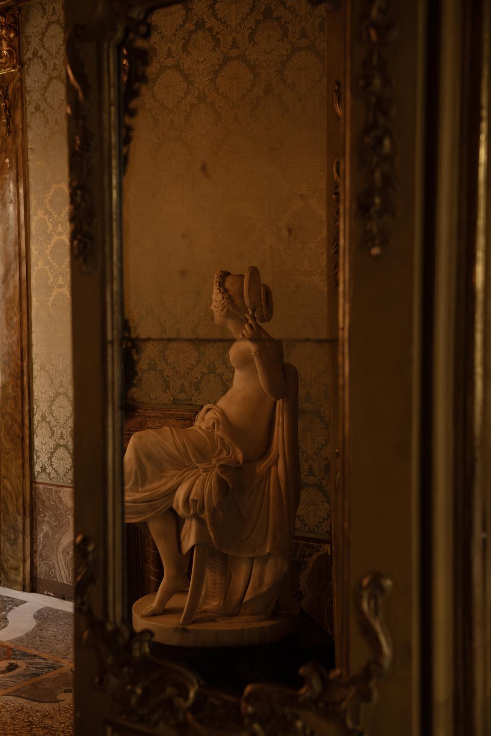 Venere in the mirror